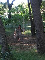 IMG 3993