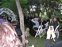 IMG 4011