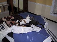 IMG 2268