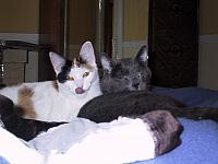 IMG 2270