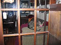 IMG 2951