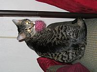 IMG 2952