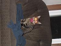 IMG 2953
