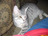 IMG 2955