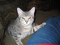 IMG 2957