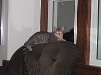 IMG 2958