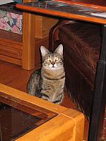 IMG 3015 001