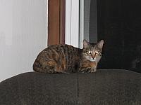 IMG 3016 001