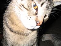 IMG 3022 001