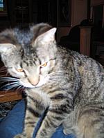 IMG 3023 001