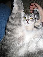 IMG 3028 001