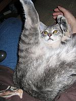 IMG 3029 001