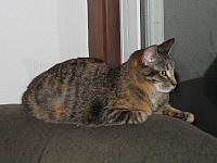 IMG 3032 002