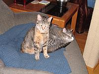 IMG 3035