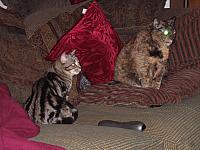 IMG 1911