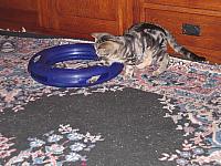 IMG 1915