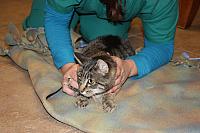 IMG 4732