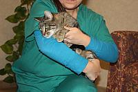 IMG 4734