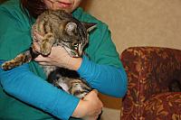 IMG 4735