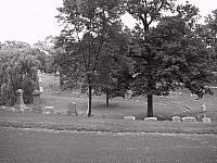 pic024