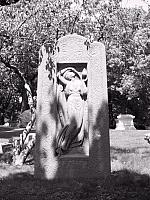 pic017