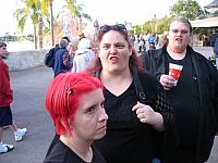 IMG 1973