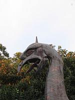 IMG 1982