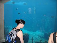 IMG 2157