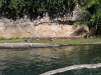 IMG 1920