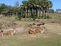 IMG 1933