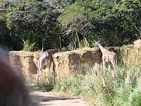 IMG 1934