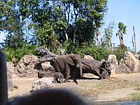 IMG 1938
