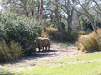 IMG 1939