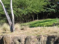 IMG 1940