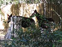 IMG 1943