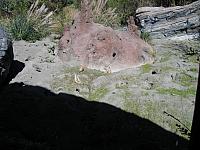 IMG 1944