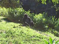 IMG 1946