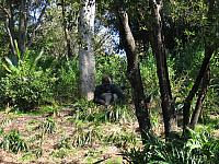 IMG 1947