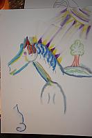 IMG 1262
