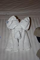 IMG 1325