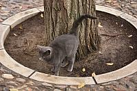 IMG 1338