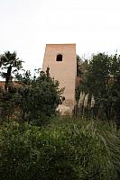 IMG 1341