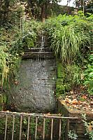 IMG 1343