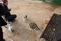 IMG 1430