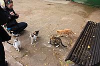 IMG 1431