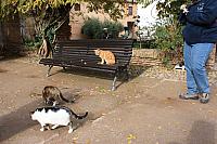 IMG 1432