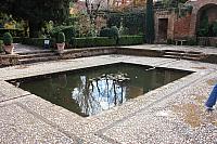 IMG 1433