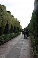 IMG 1438