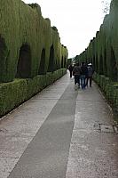 IMG 1439