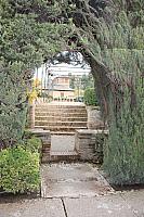IMG 1441